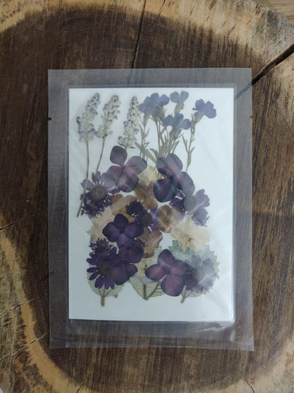 Purple Dry Pressed Flower