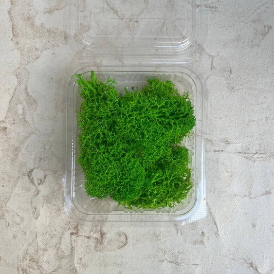 Artificial Moss/ Grass (light green)