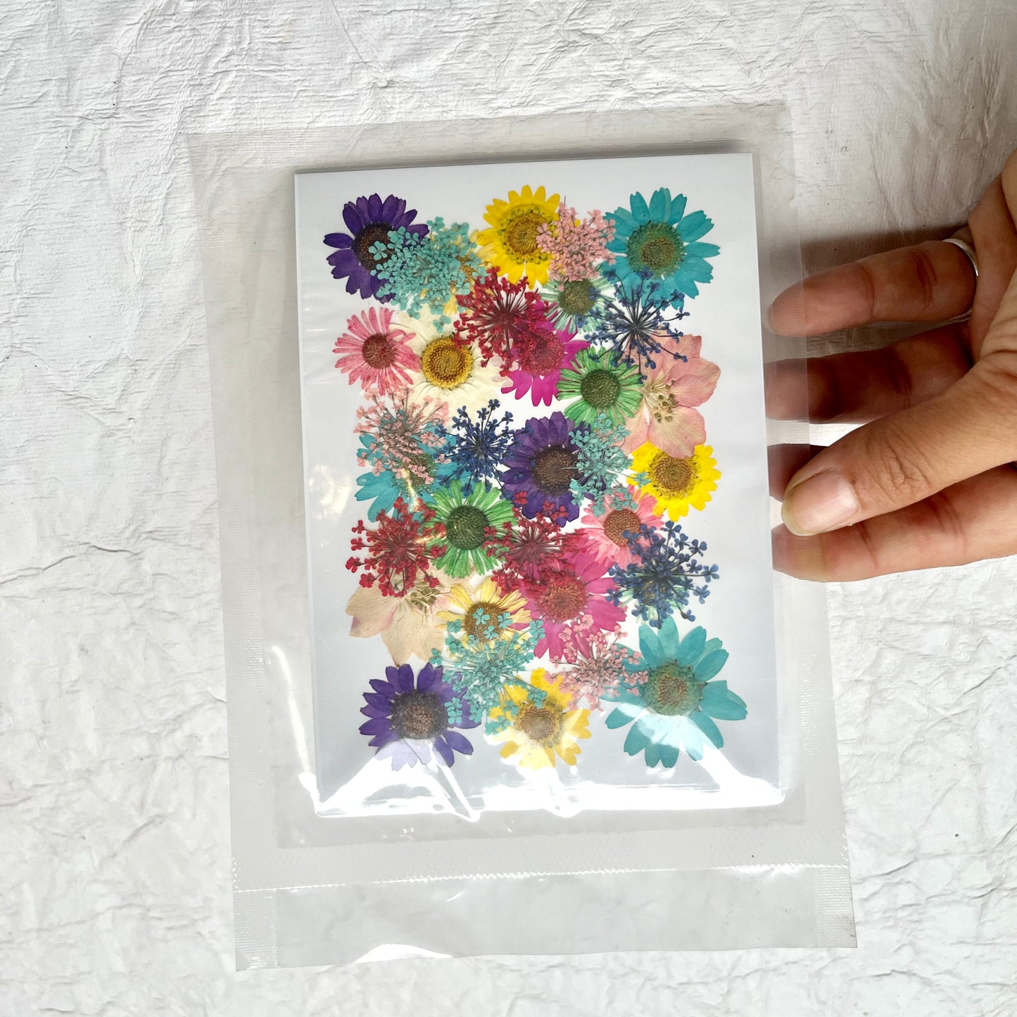 Multicolor Dry pressed flowers