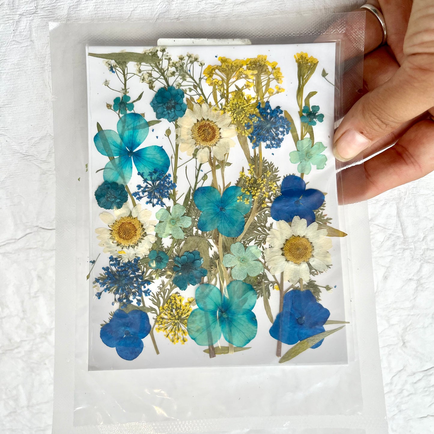 Blue Dry Pressed Flowers