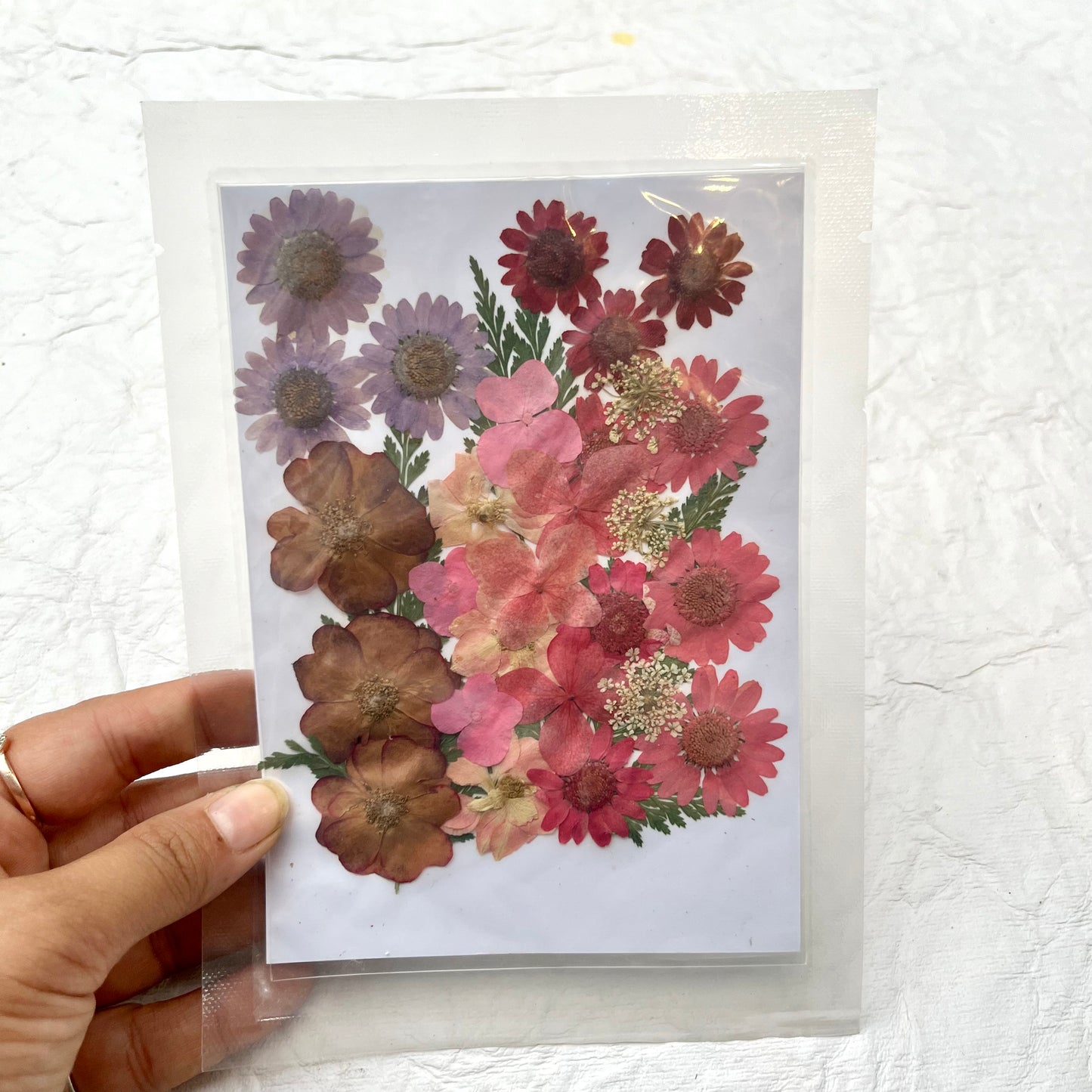 Pink Dry Pressed Flowers